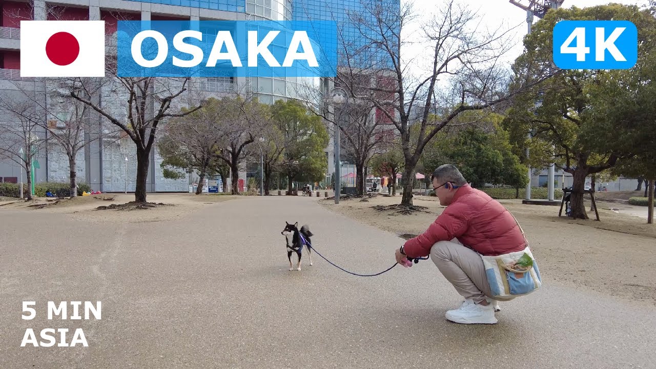 🇯🇵 Japan - Osaka: 5 Minutes Walking Tour - 4K