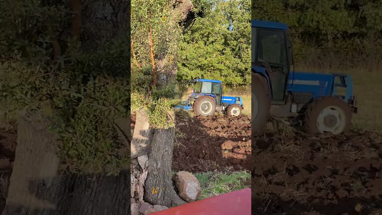 Fiat 80 66  New Holland 75 56 çift sürümü 