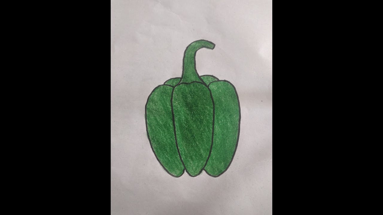 How to draw capsicum Drawing for kids || easy vegetable  drawing step by step..