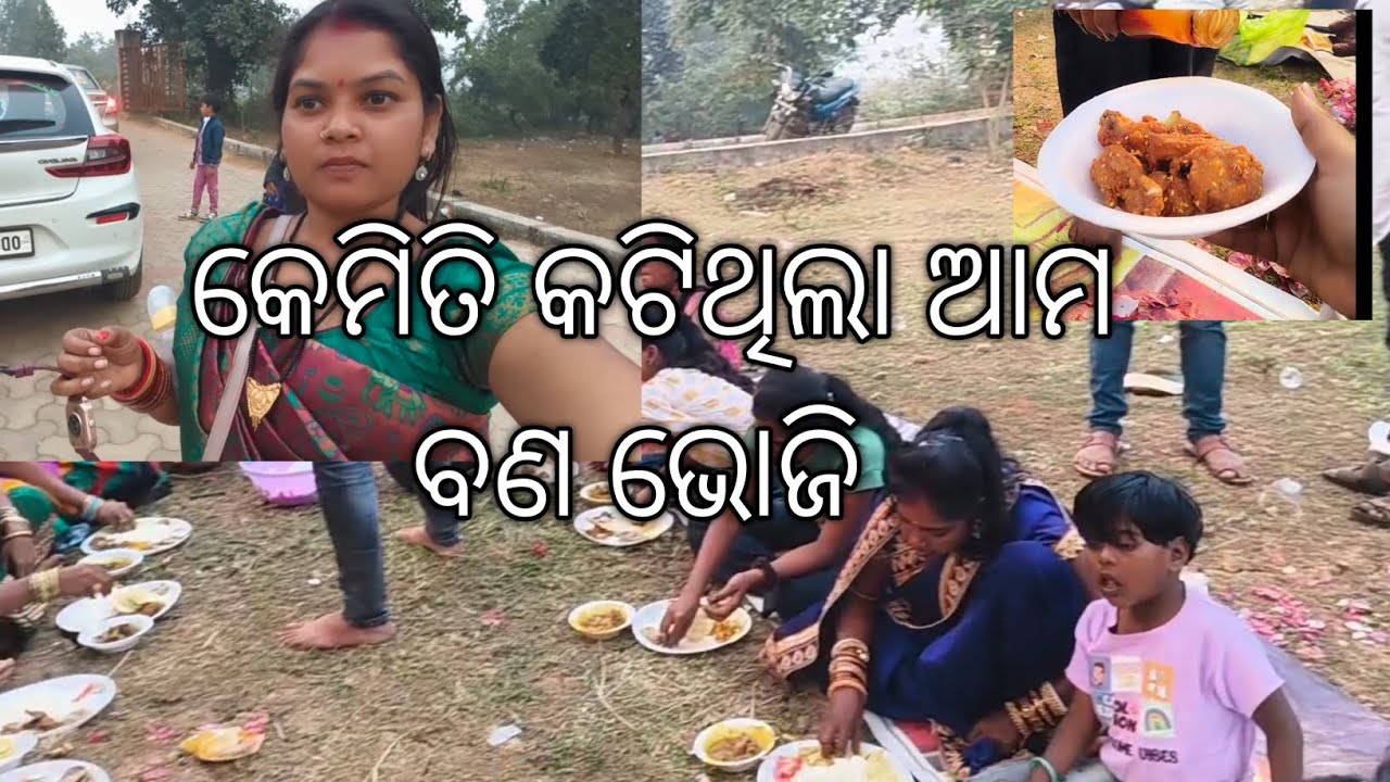 କେମିତି କଟିଥିଲା ଆମ ବଣ ଭୋଜି #viral #viralvideo #odia #odiavolg view kese badhaye youtube video par