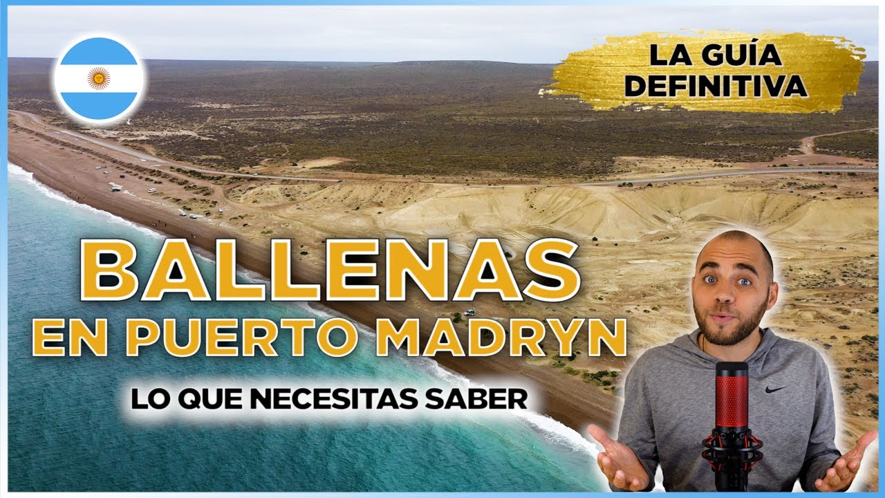🇦🇷 ¿Querés ver BALLENAS en PUERTO MADRYN en Chubut en 2025? ¡Esta GUÍA DE VIAJE te resuelve TODO! 🐳
