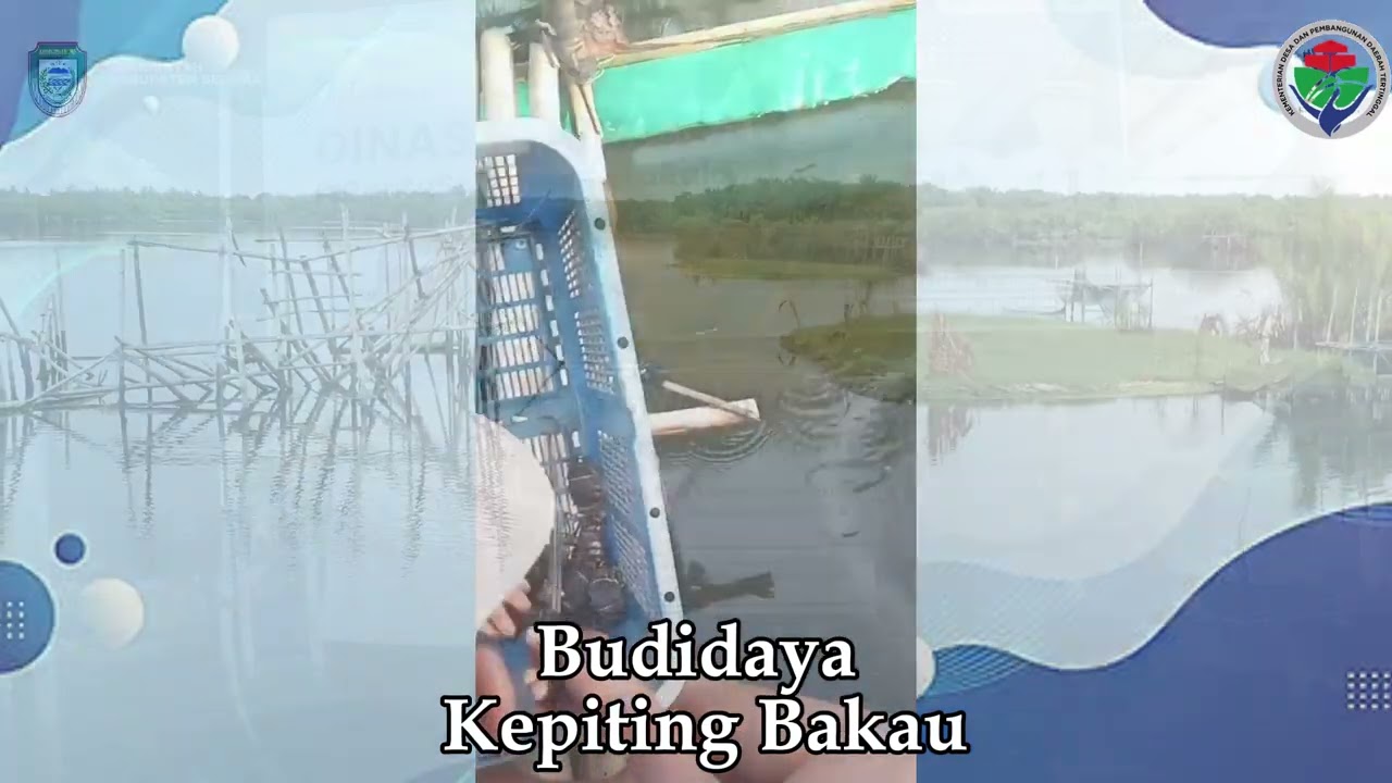 Program Ketahanan Pangan Inovatif di Desa Kungkai Baru, Inspirasi Nasional!