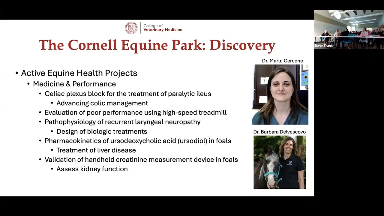 The Cornell Equine Park: Discovery, Care, and Breeding for Excellence, May 2025