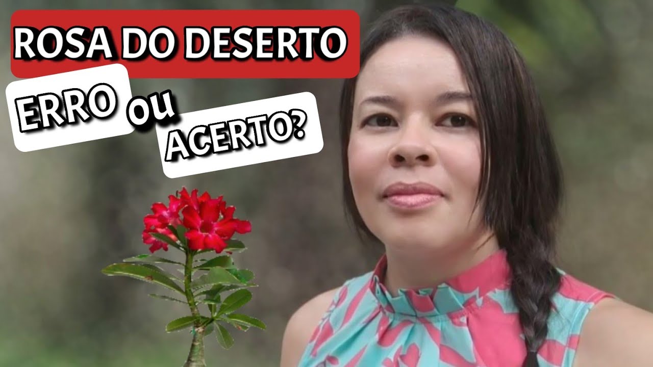 Cuidados com a Rosa do Deserto e como fiz Estrogonofe de Carne