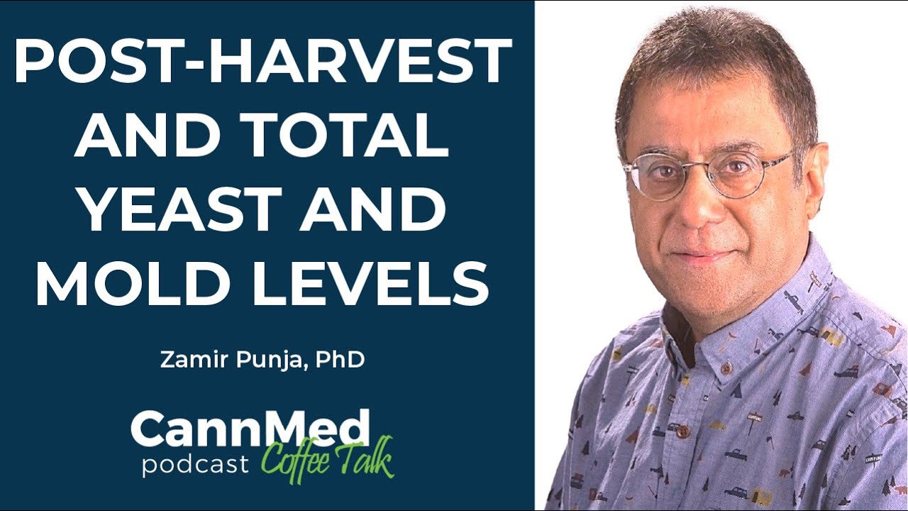 How Post Harvest Activities Affect TYM Levels - Zamir Punja, PhD