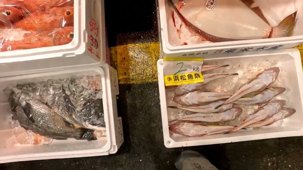 浜松市中央卸売市場　魚市場　2026年2月13日