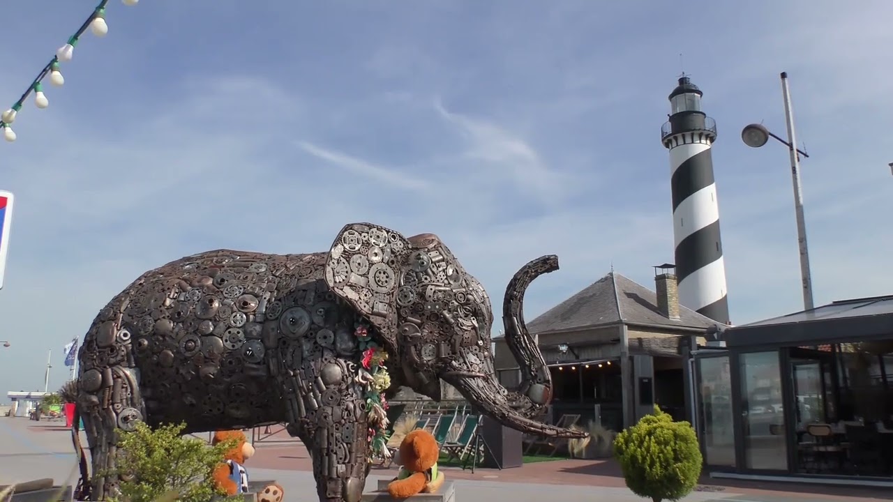 Gravelines ( plage de Petit-Fort-Philippe 59820)