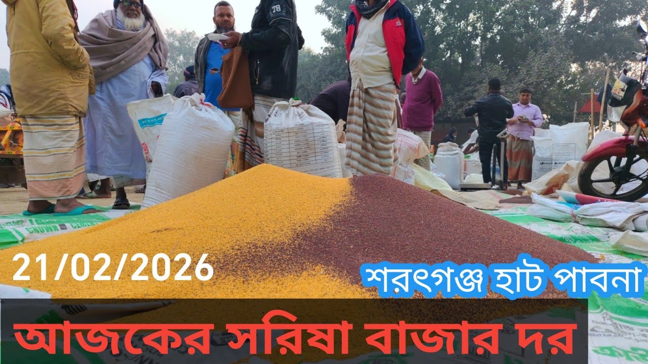 21 February 2026 আজকের সরিষার বাজার দর দাম। শরৎগঞ্জ হাট চাটমোহর পাবনা থেকে।