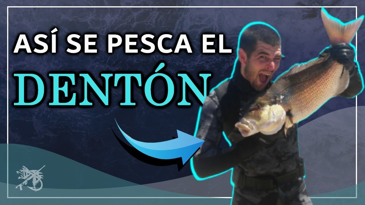 🦷 Como PESCAR el DENTÓN en POCO FONDO con estos TRUCOS ❗❗❗