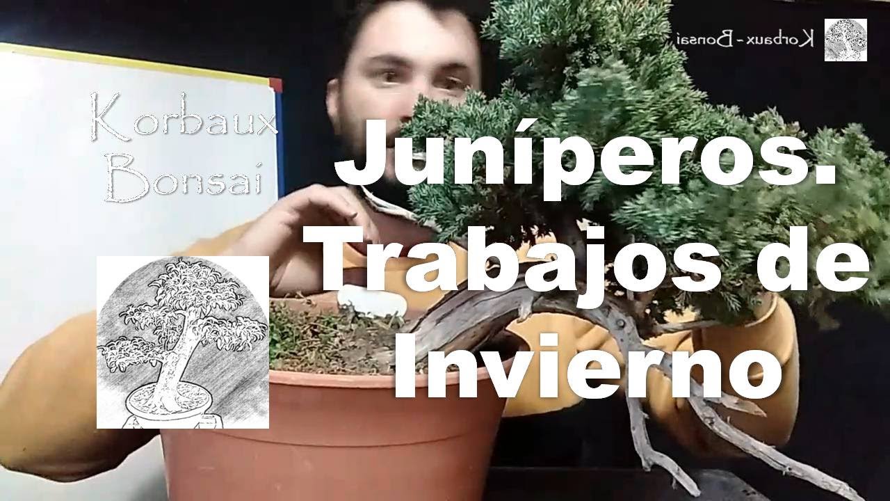 PKB 009 Junípero. Trabajo de Invierno