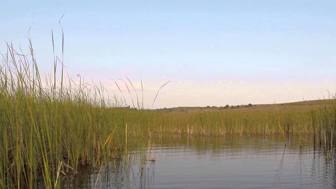 Охота GoPro 3+