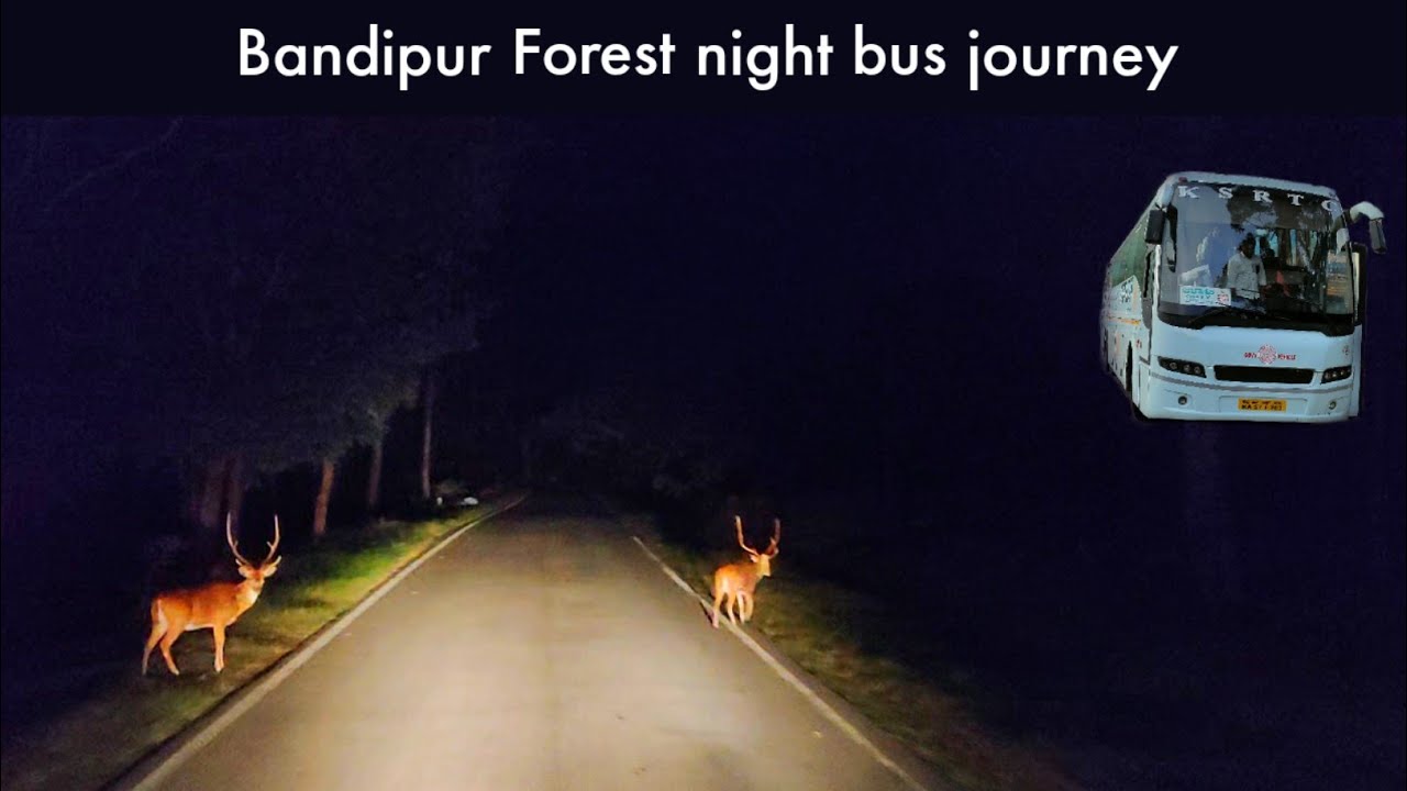 KSRTC AIRAVAT B9R bus journey through Bandipur Forest