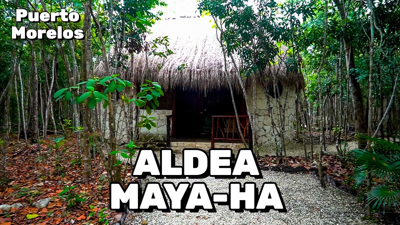 Un lugar MÁGICO en medio de la SELVA, RUTA DEL CENOTE, Aldea Maya-Ha