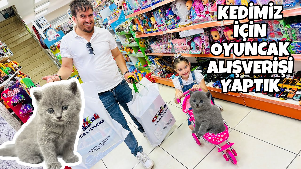 HAVUZ ALMAYA GELDİK !! AMA KEDİMİZE OYUNCAK ARADIK !! NELER ALDIK BAKALIM ?! ALIŞVERİŞ VLOG !!