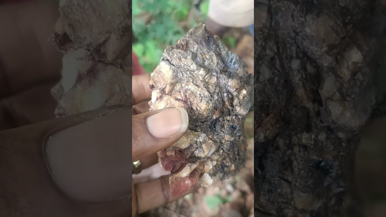 Knowing the best sample to contain gold #goldore #goldmineralization
