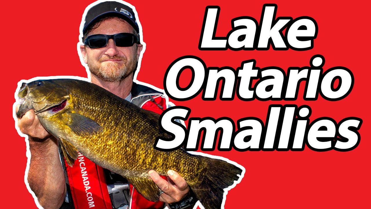 Lake Ontario Smallies | Pete Bowman feat. Mike Burriss