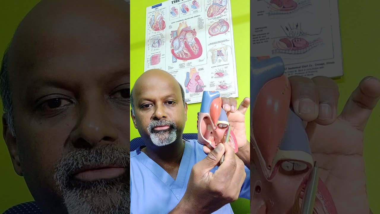 Dr Prem Sekar explains Device Closure Procedures for Simple holes in the Heart.