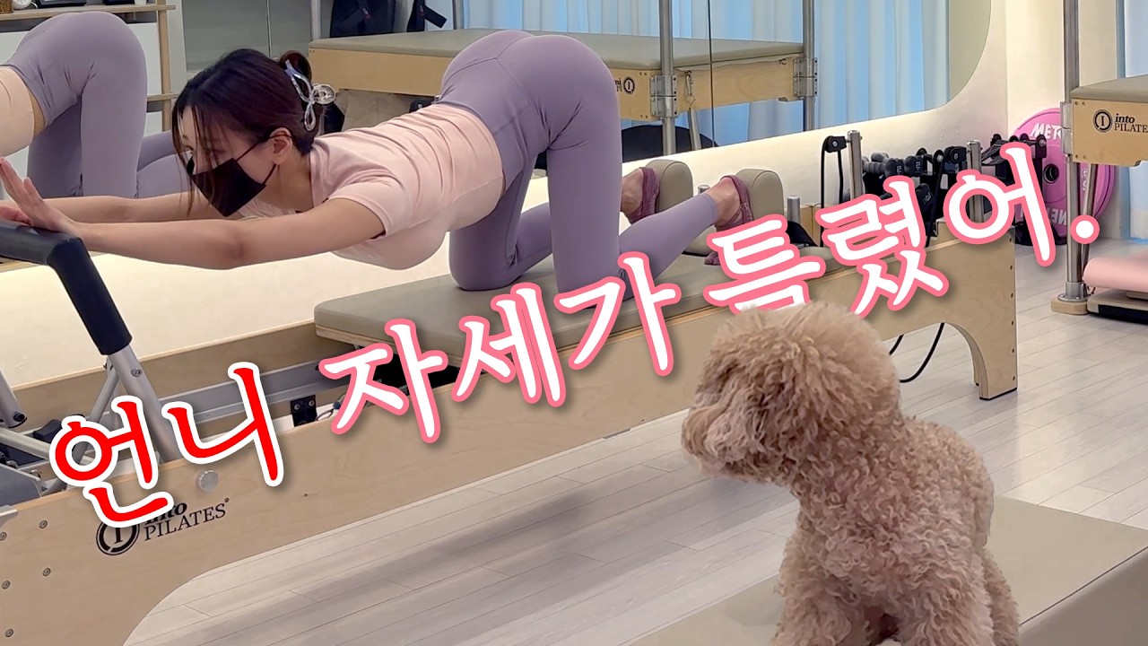 출근하는 강아지의 하루 🐶🤎