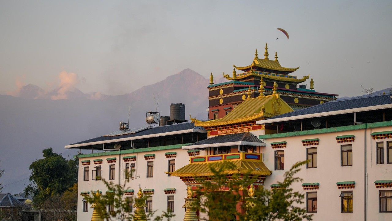 Chokling ArtHouse - The Treasure of Himalayas | Palampur, India | Hotel Review 🛏️