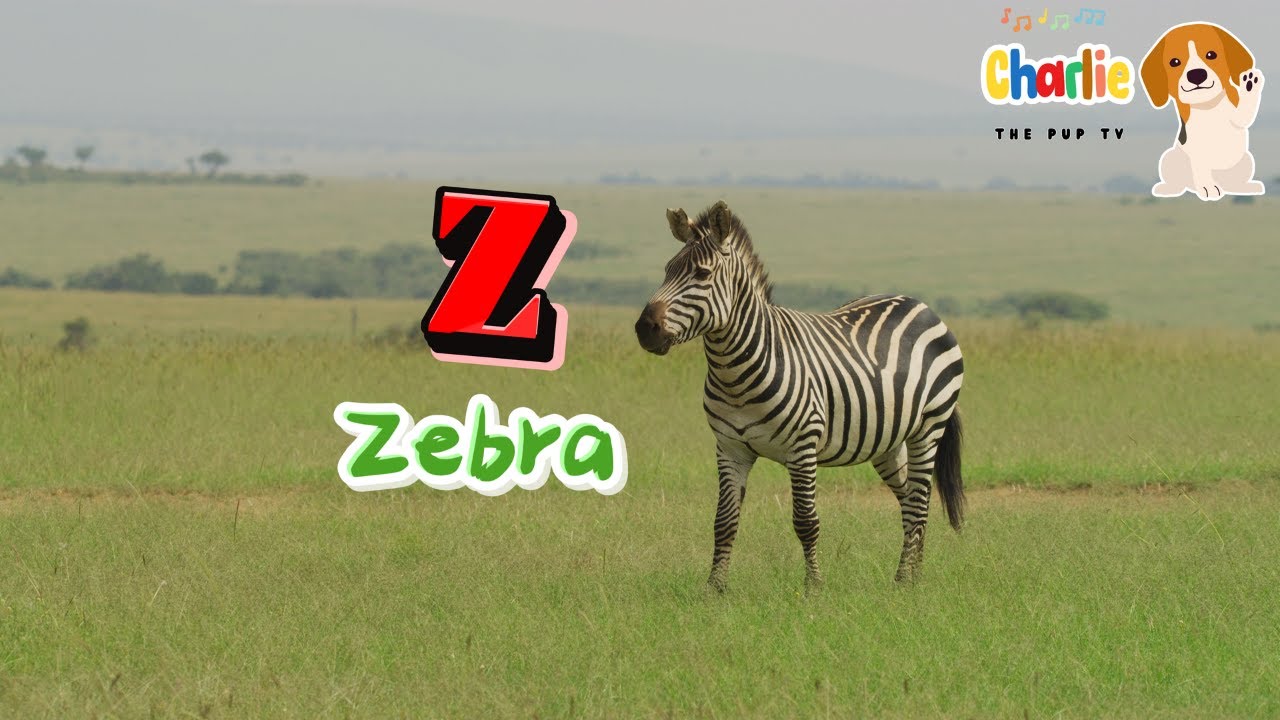 ABC Terrestrial Animals Song for Kids | Learn the Alphabet #abcd