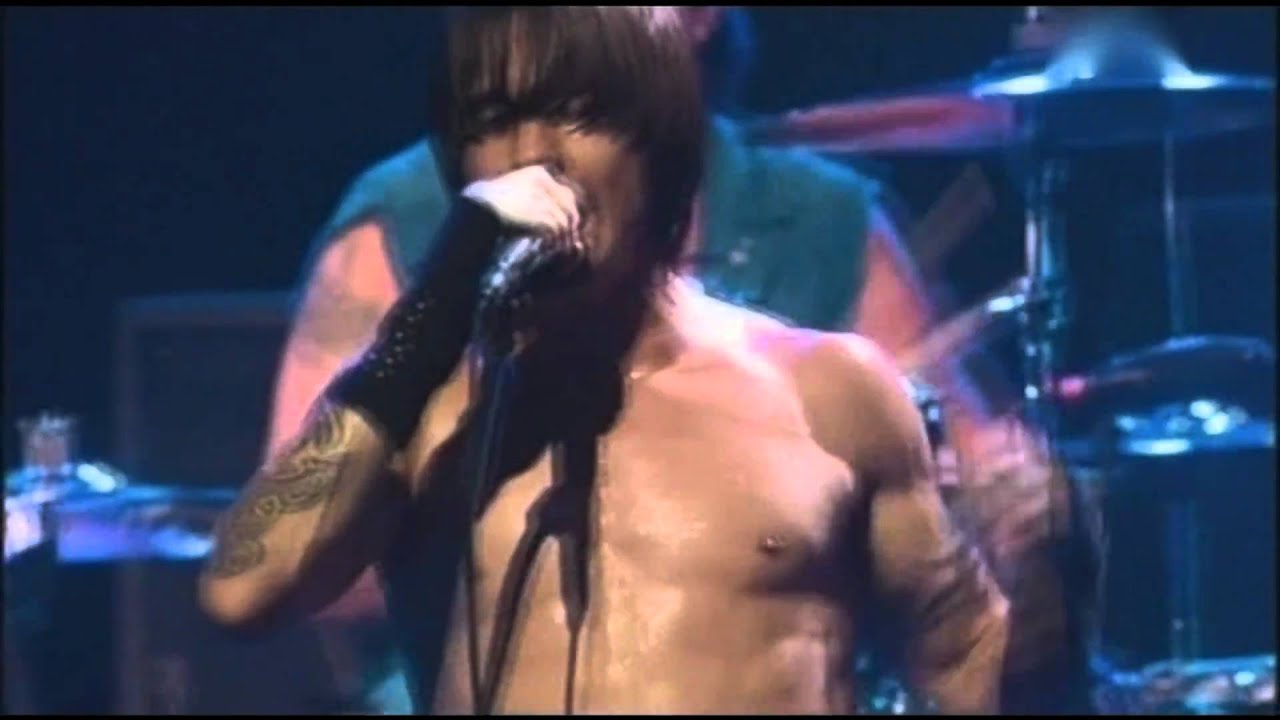Red Hot Chili Peppers - Otherside - Live at Olympia, Paris
