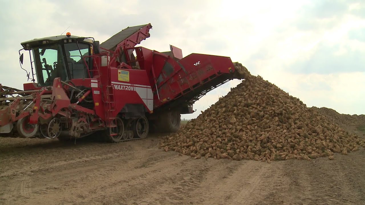 Filmum AGRO #10 Historia Cukrowni Werbkowice