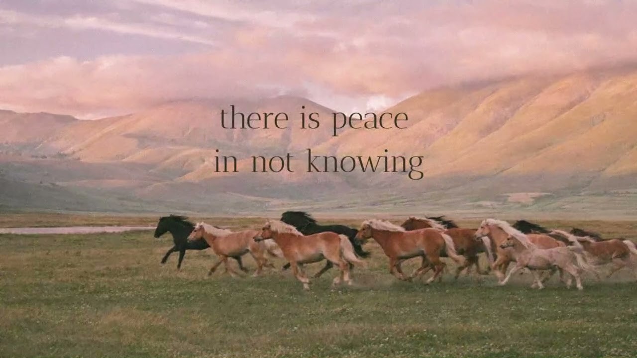 stillness unveils the answer.