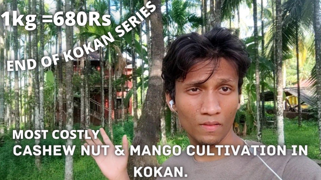 MOST COSTLY SELLING(CashewNut & Mango Cultivation in kokan )