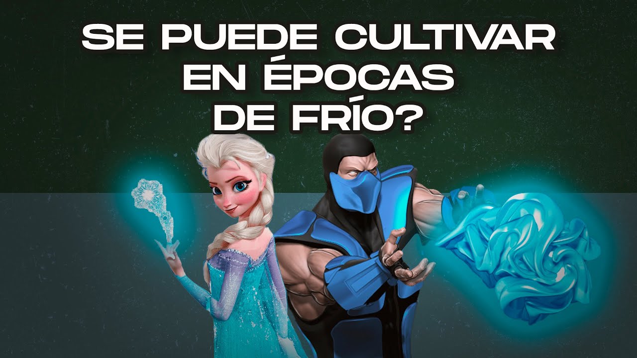 &iquest;Cultivar en invierno? T&eacute;cnicas y mitos del fr&iacute;o
