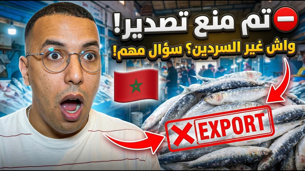 ⛔! حبسو تصدير السردين… والمغاربة ما فاهمين والو