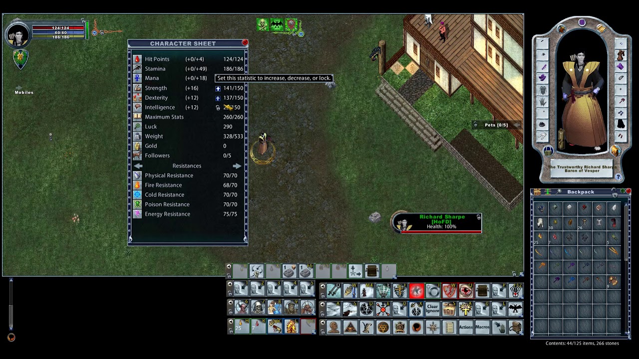 UO - Sampire Build Overview - Stats and Gear
