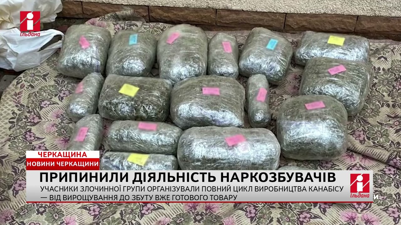 Учасники групи організували на Черкащині повний цикл виробництва канабісу
