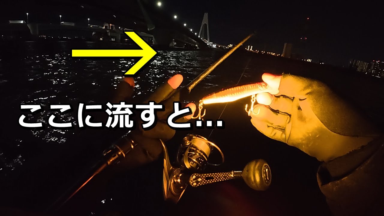 明暗×シャローで餌を待つシーバスにカゲロウを流し込む