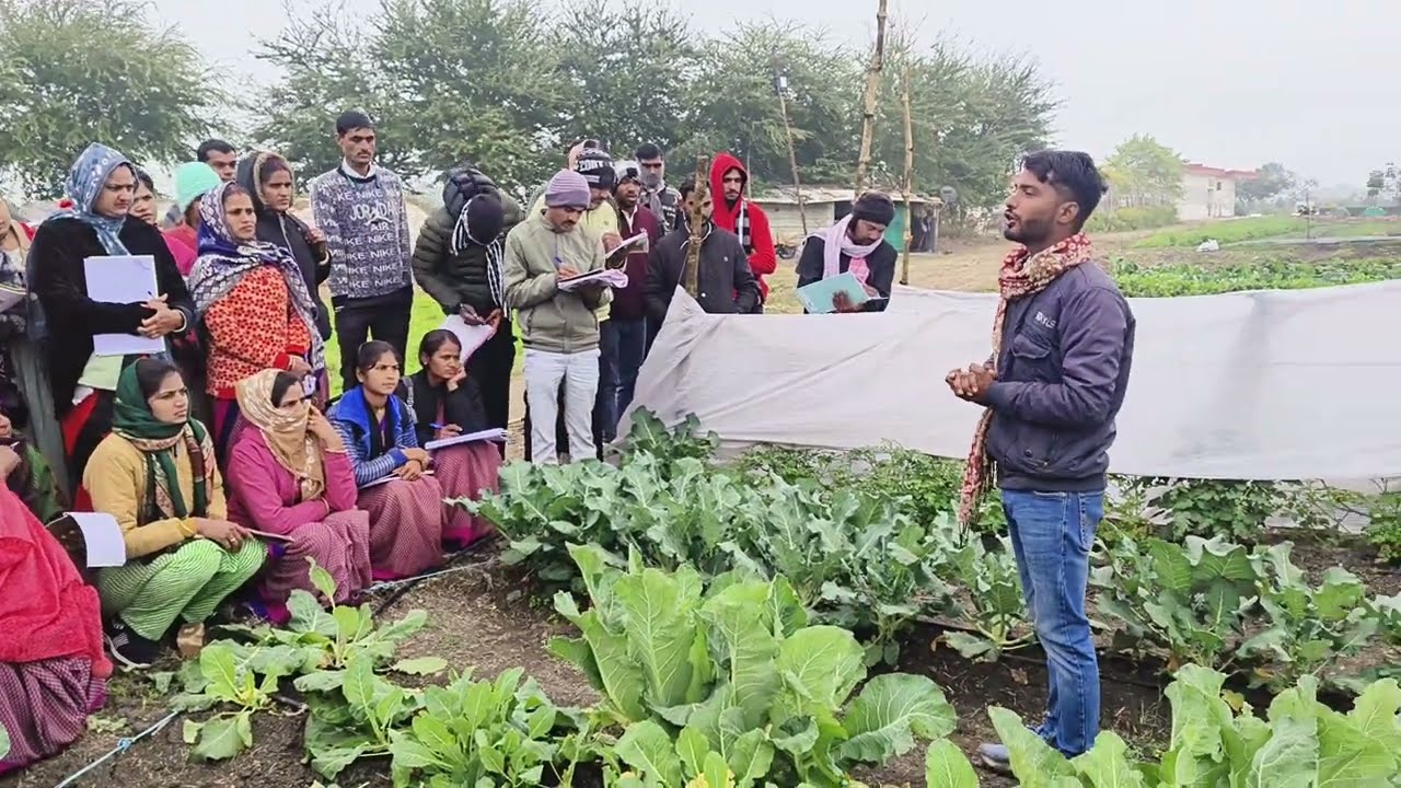 ||जैविक कृषि की सरल विधि|| से उत्पादन फसल व सब्जियां||