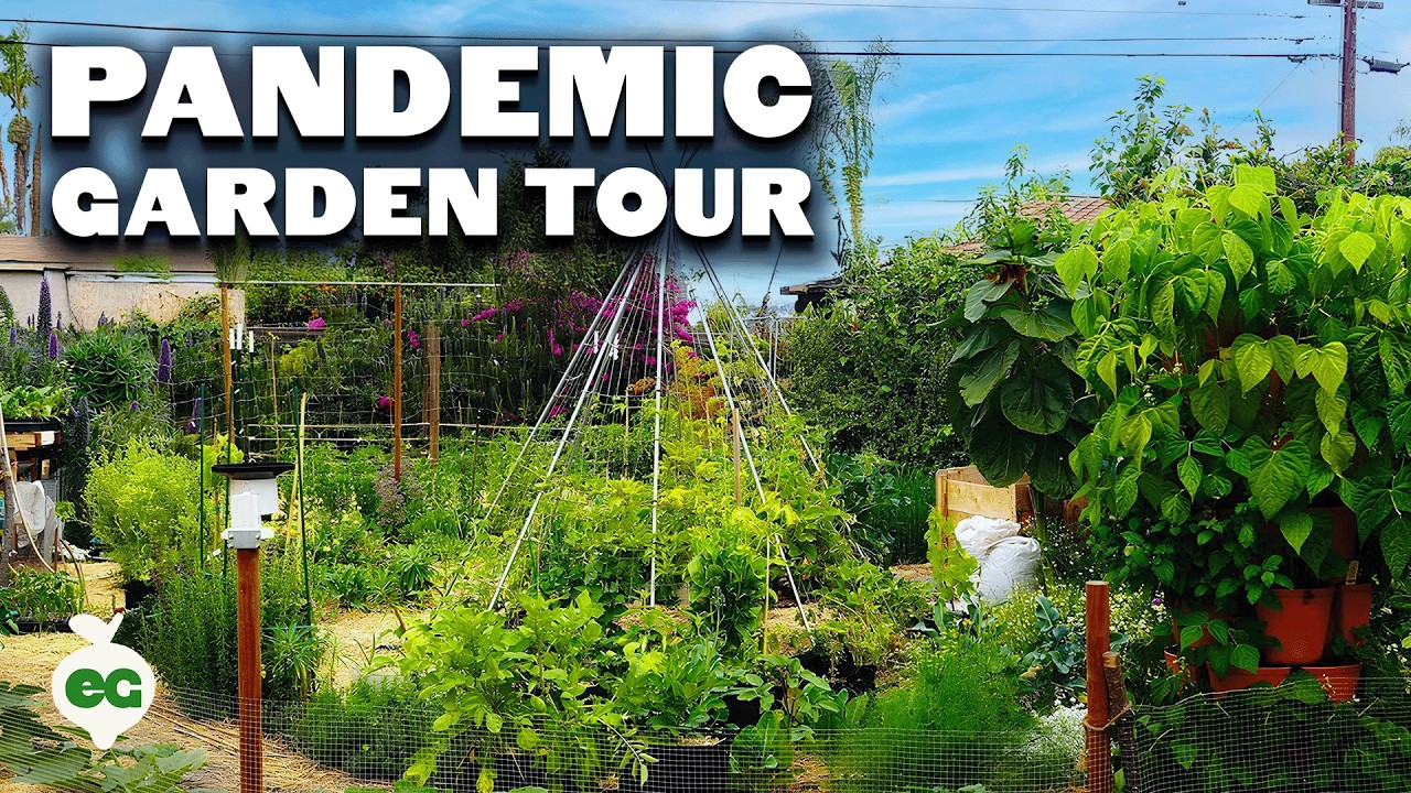 He Built This Garden from SCRATCH in a Year for ~$1000 🤯 | Touring My Assistant's Garden
