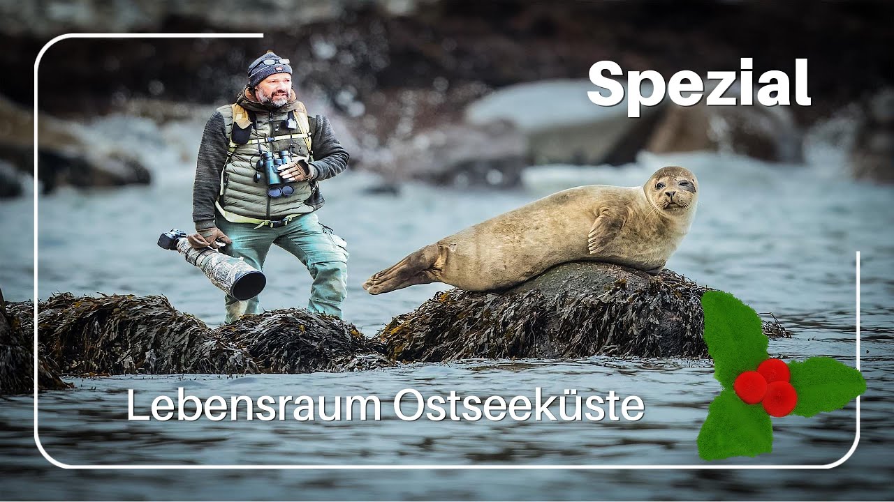Lebensraum Ostseeküste
