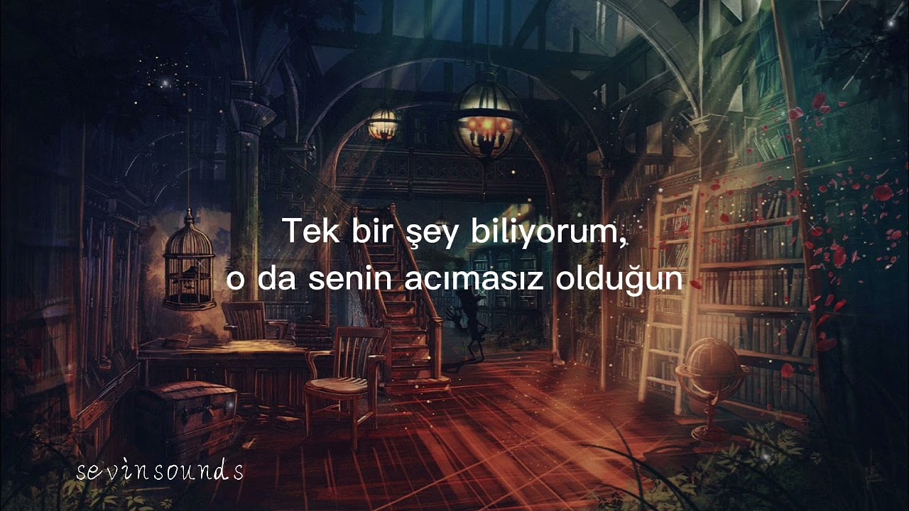 Ebi- In aakharin baare( türkçe çeviri)