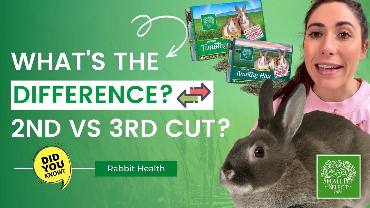 2nd vs 3rd Cutting Timothy Hay For Rabbits: What's The Difference?