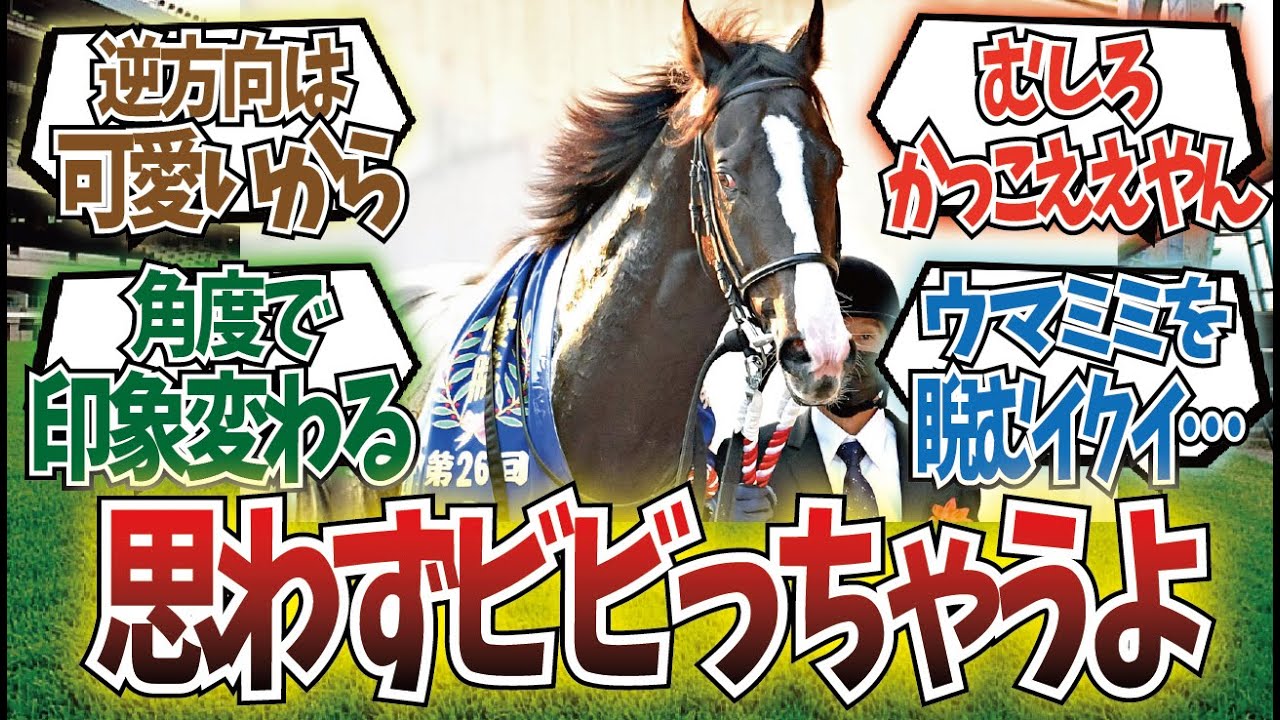 「馬たちによる怖い顔選手権」に対するみんなの反応集