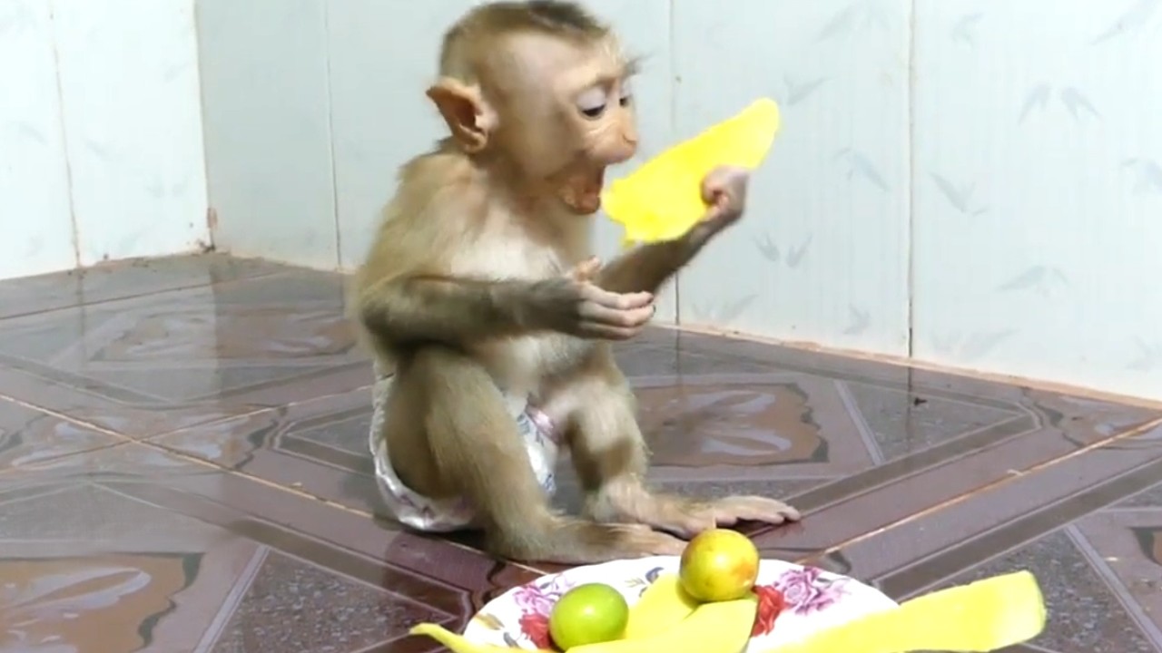 Special!! Cute little LIORA is eating delicious mango and Jujube It's so mouth-watering to look at