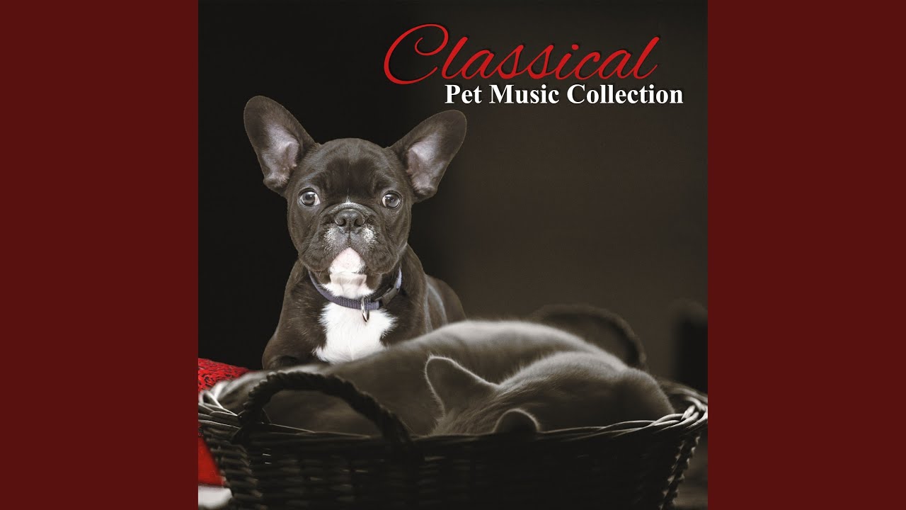 The Seasons No. 9 in G Major, Op. 37a &rdquo;September: The Hunt&rdquo;: IX. Allegro non troppo (Harp...