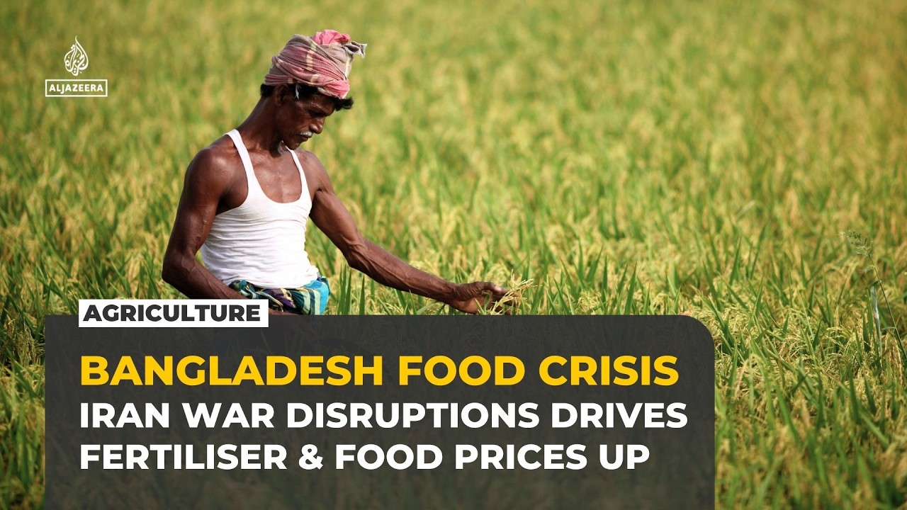 Bangladesh faces food crisis as fertiliser shortages push up rice prices