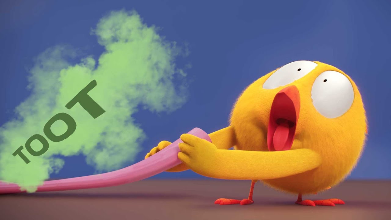 Where's Chicky ? 🤮 Whoopie - NEW episodes in HD