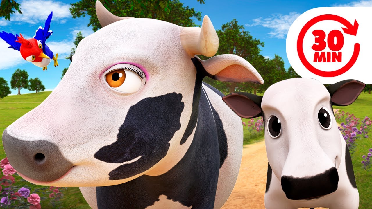 A Vaca Maru vai ter um Bezerrinho e Mais M&uacute;sicas da Fazenda do Zenon | O Reino Infantil