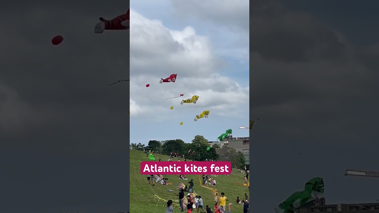 Atlantic kite&rsquo;s festival Halifax Canada #halifax#canada#YouTube#ytshorts #short#shortvideostatus
