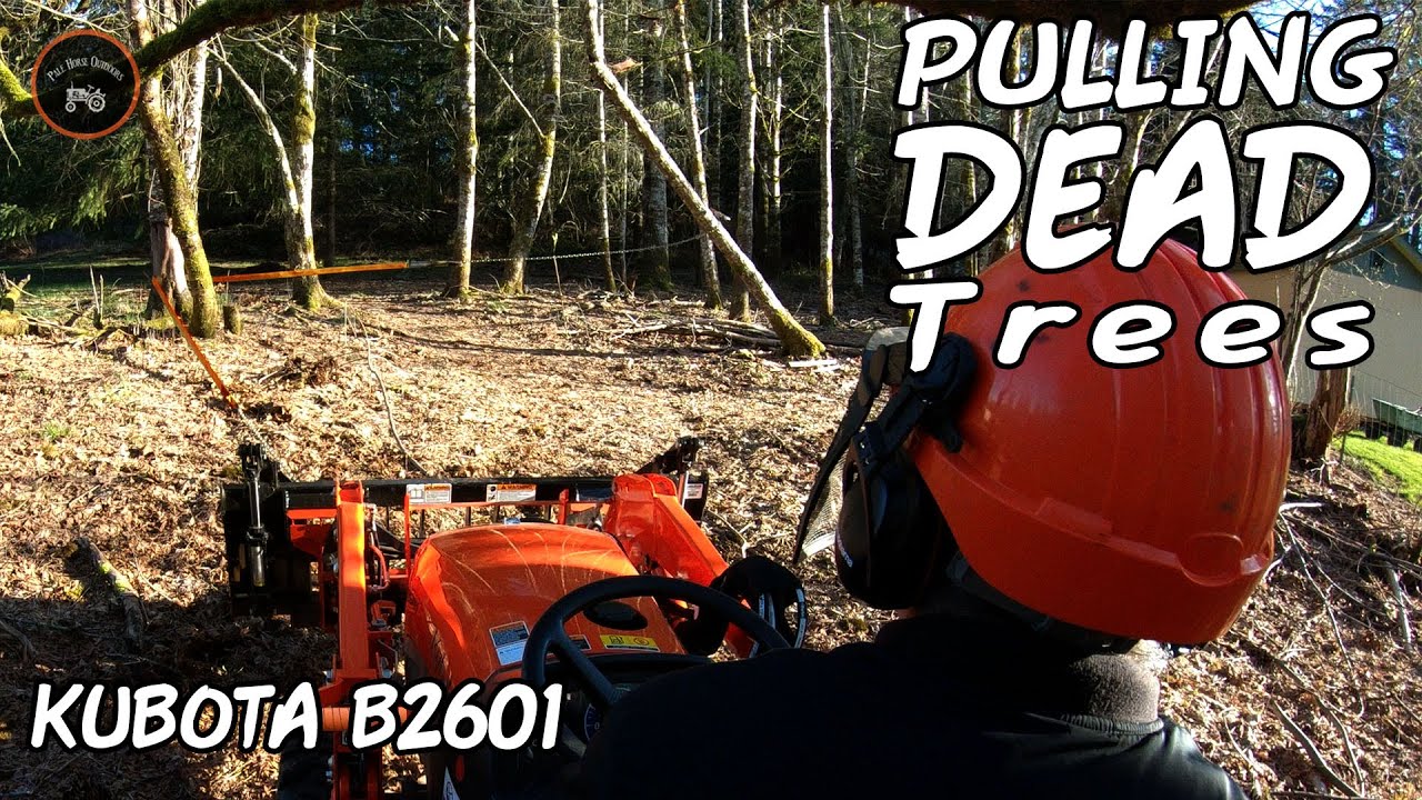 Pulling down dead trees | Kubota B2601