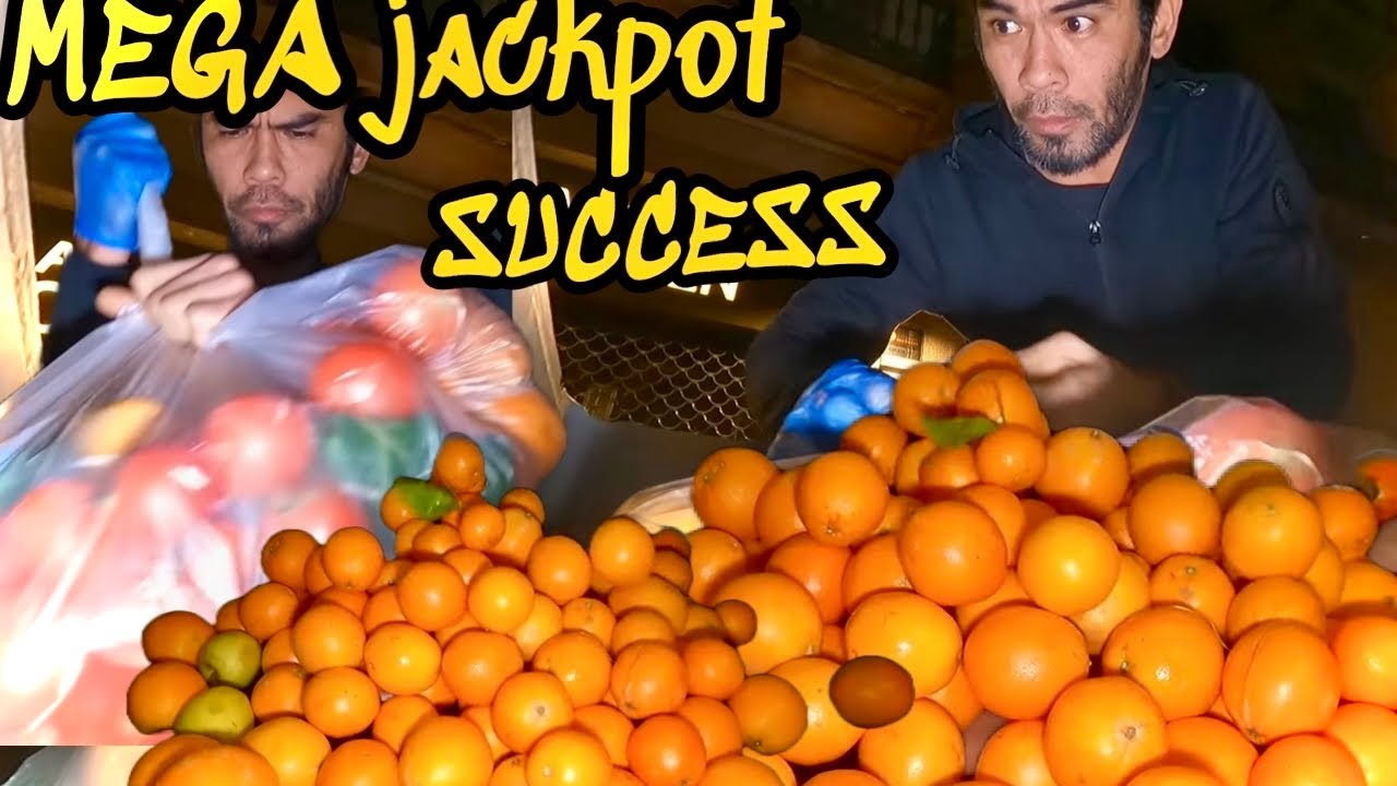 Dumpster Diving | Super mega dami success👌
