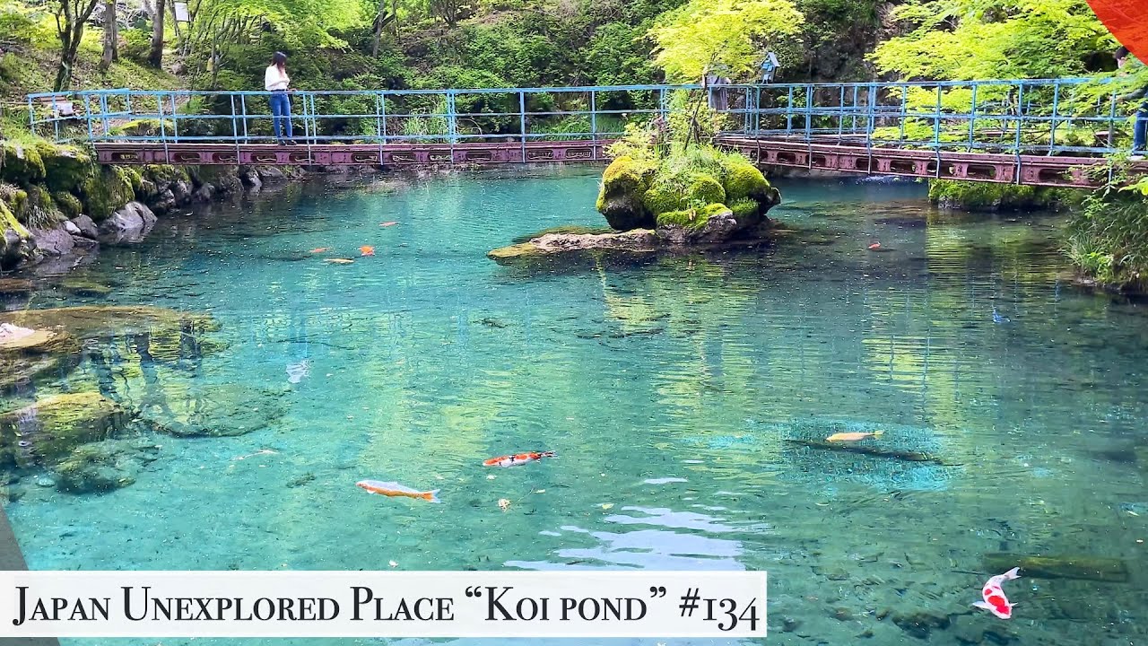 Japan unexplored  place Koi pond(Tsuno, kochi)