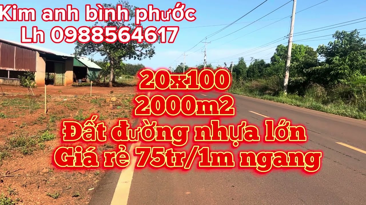 B&aacute;n 20x100 đất pun hồng gi&aacute; 75tri&ecirc;u /1m ngang dt312 x&atilde; nghĩa trung b&ugrave; đăng b&igrave;nh Phước lh 0988564617