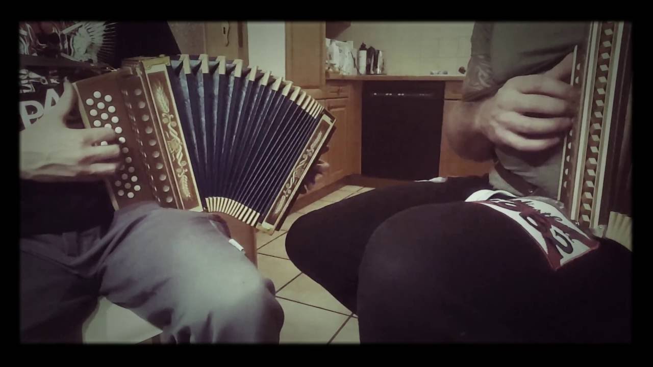 Schwyzerörgeli Cover ,,Dankdär,, #schwyzerörgeli #cover #emotional #schweiz #trauer #switzerland